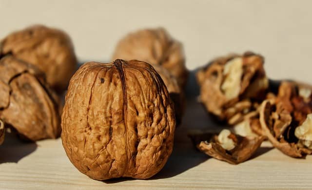 Walnut a nut with style and health