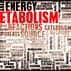How to Increase Your Metabolism for Better Weight Loss
