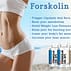 Forskolin 250 Review – Effective Enough To Make You Lose Weight Fast?